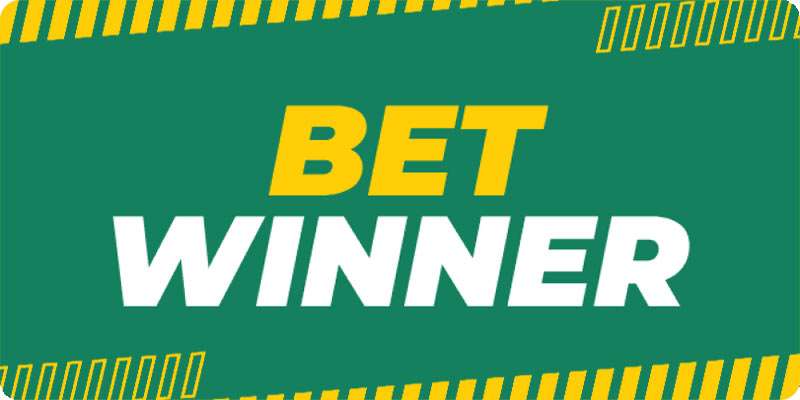 Bets on Betwinner Your Ultimate Guide to Winning